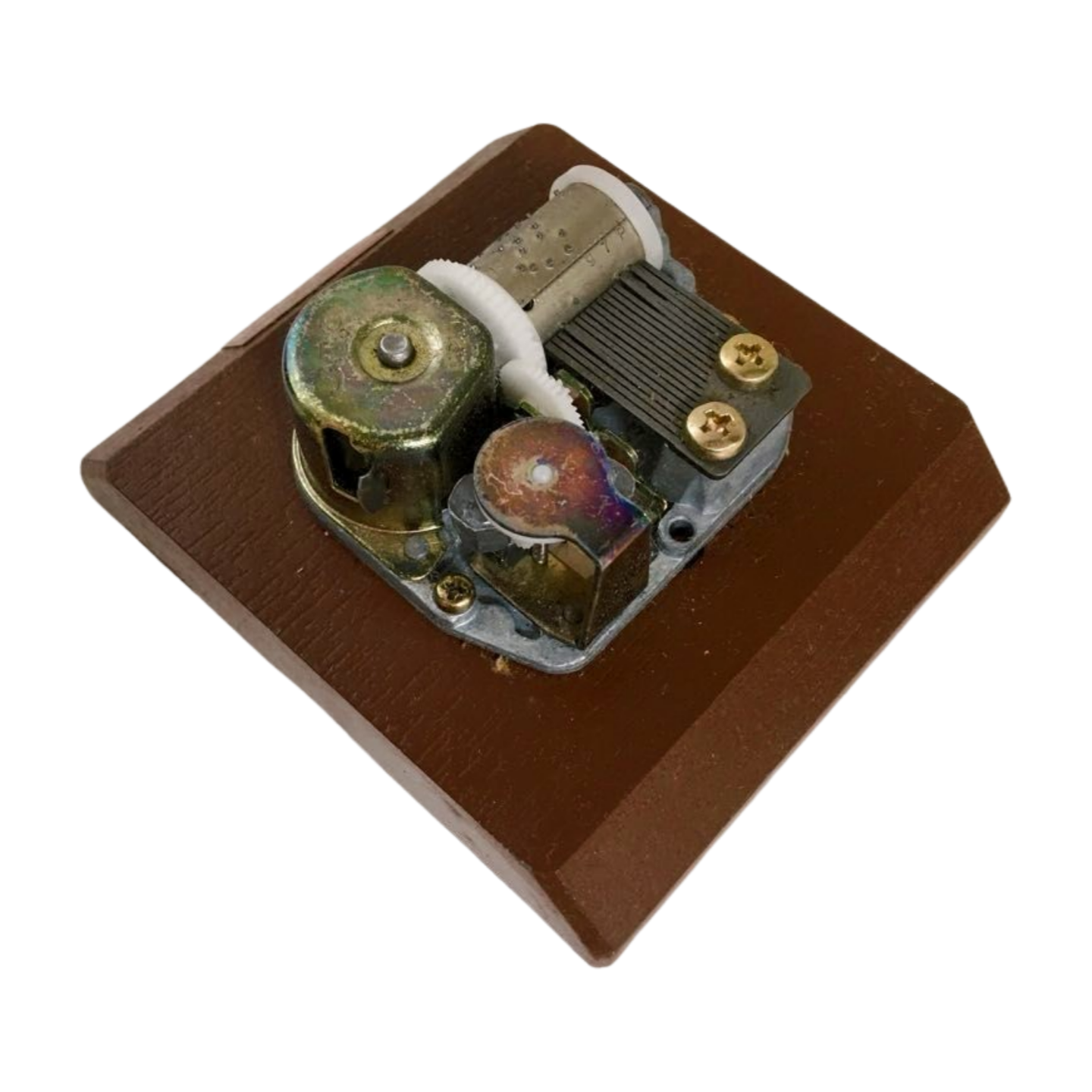 Image #3