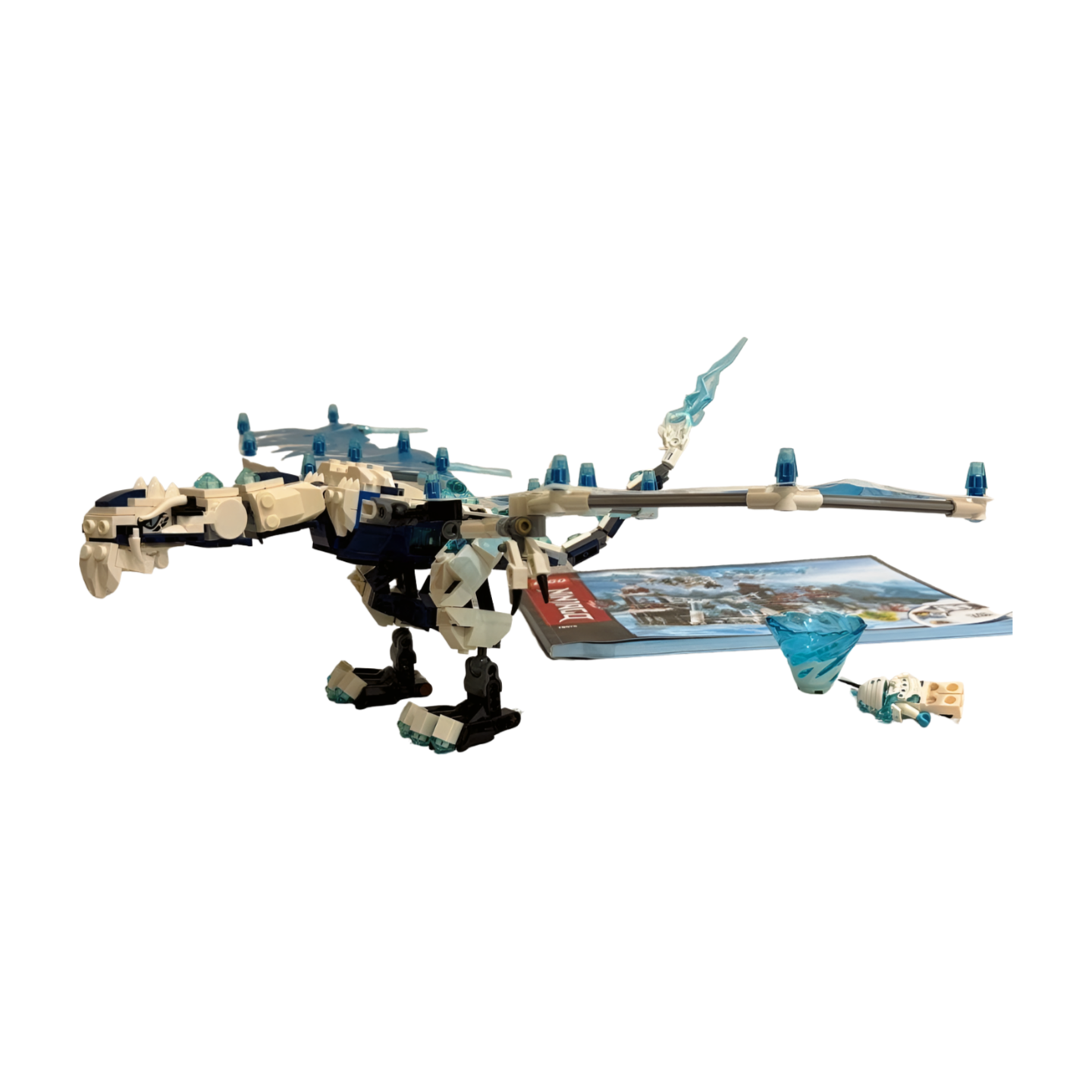 Image #6