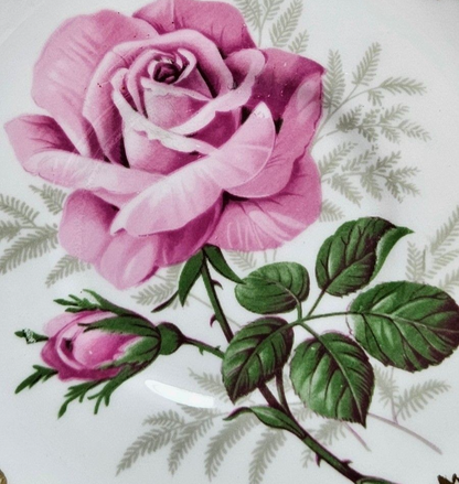 Image #14