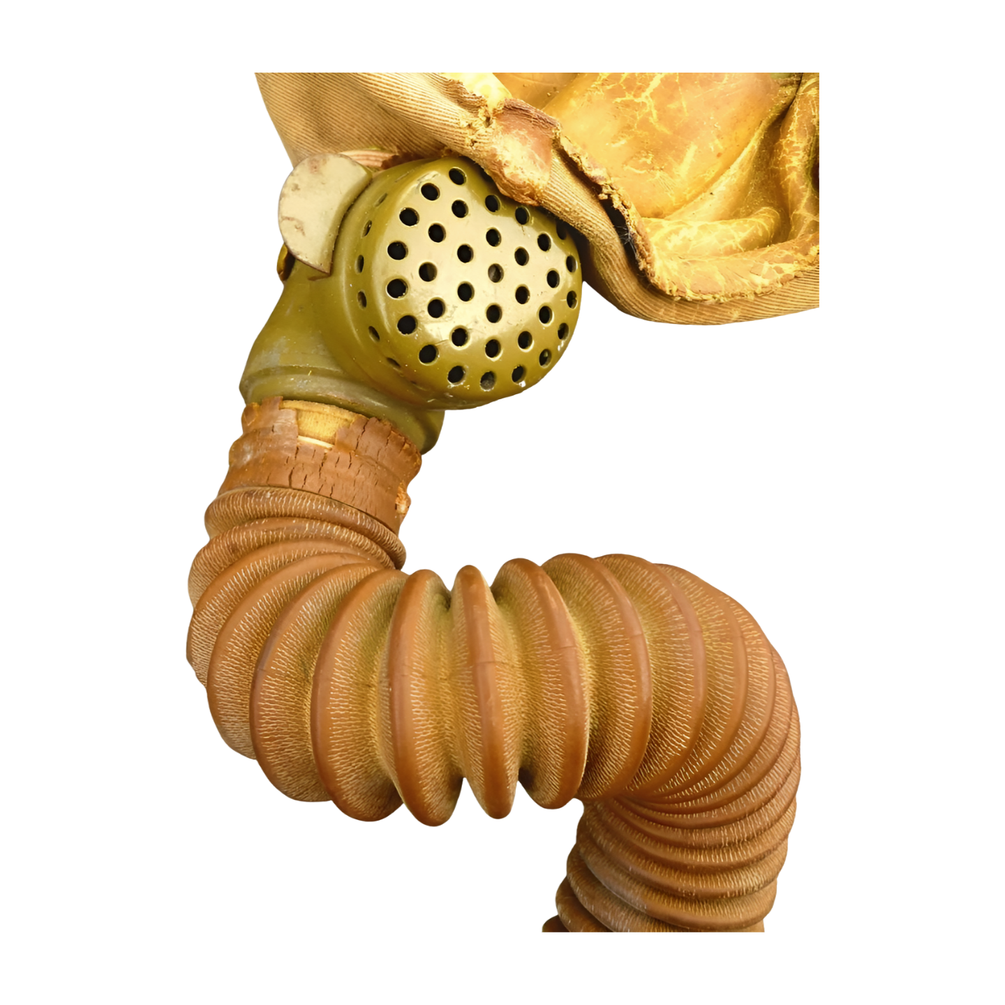 Image #5