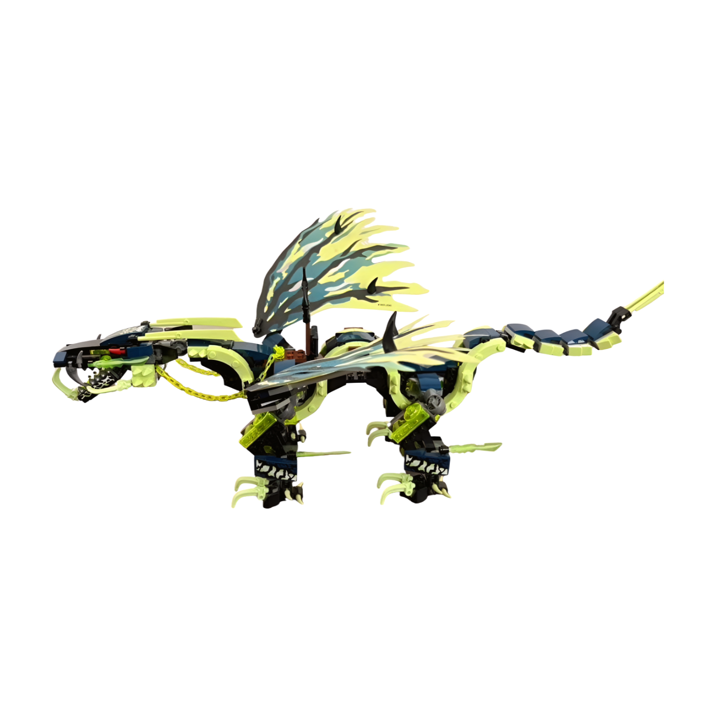 Image #6